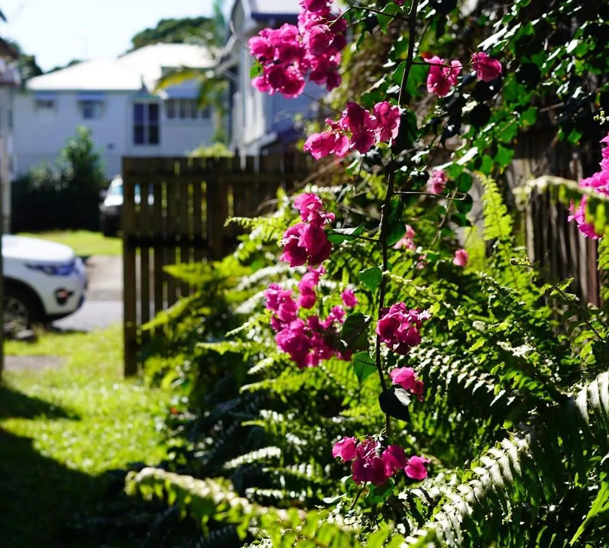 The Quinn - Inner City Classic Queenslander Cairns Australia